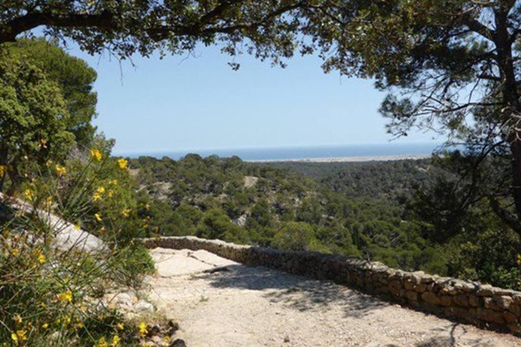 Entre Mer Et Garrigue Saint-Pierre-la-Mer  Εξωτερικό φωτογραφία