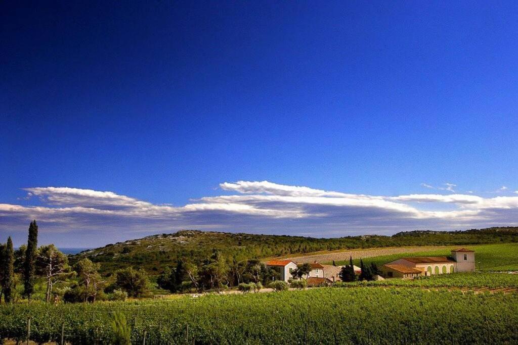 Entre Mer Et Garrigue Saint-Pierre-la-Mer  Εξωτερικό φωτογραφία