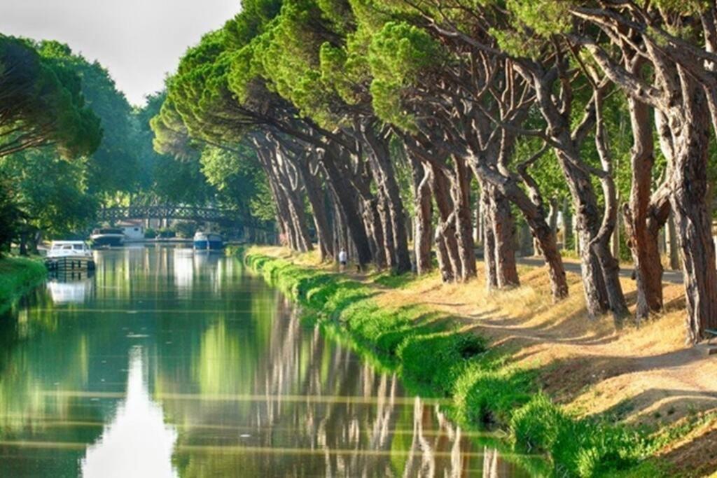 Entre Mer Et Garrigue Saint-Pierre-la-Mer  Εξωτερικό φωτογραφία