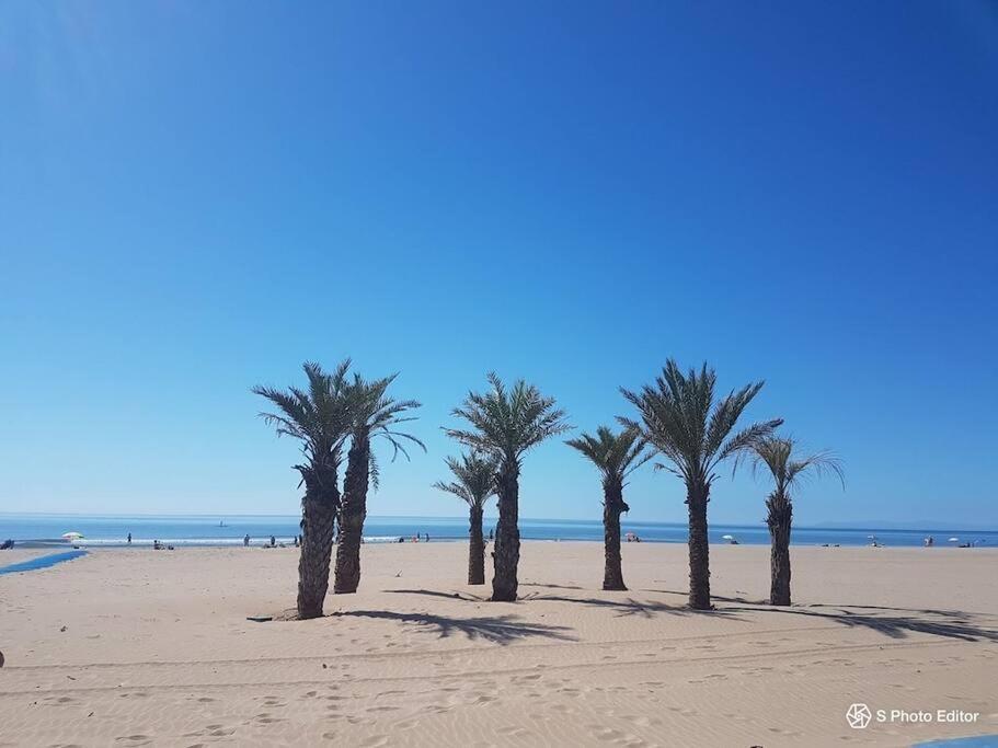 Entre Mer Et Garrigue Saint-Pierre-la-Mer  Εξωτερικό φωτογραφία