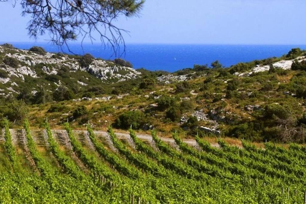 Entre Mer Et Garrigue Saint-Pierre-la-Mer  Εξωτερικό φωτογραφία